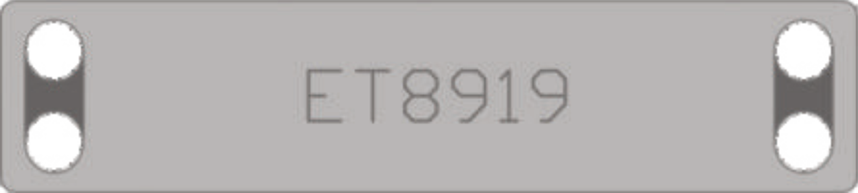 ET8919